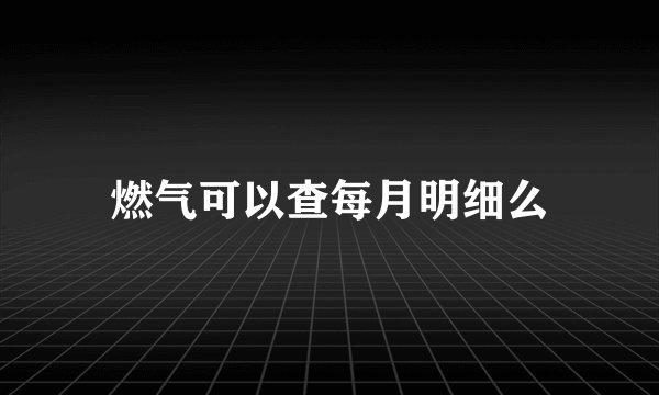 燃气可以查每月明细么