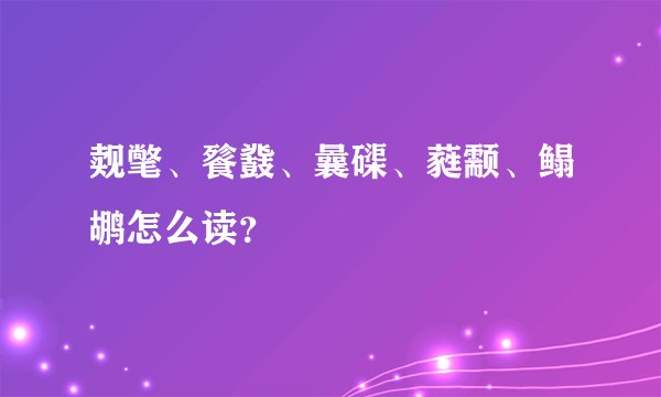 觌氅、餮鼗、曩磲、蕤颥、鳎鹕怎么读？