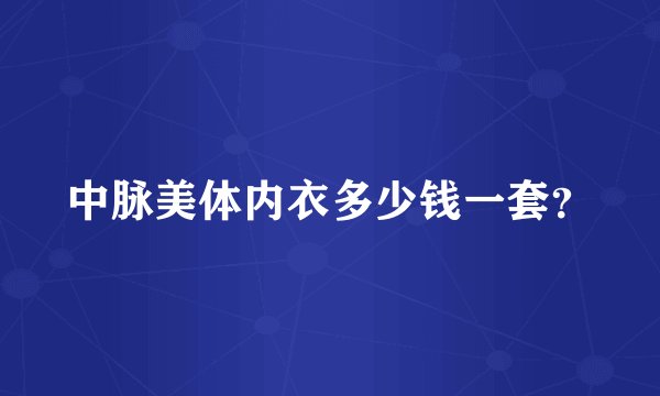 中脉美体内衣多少钱一套？