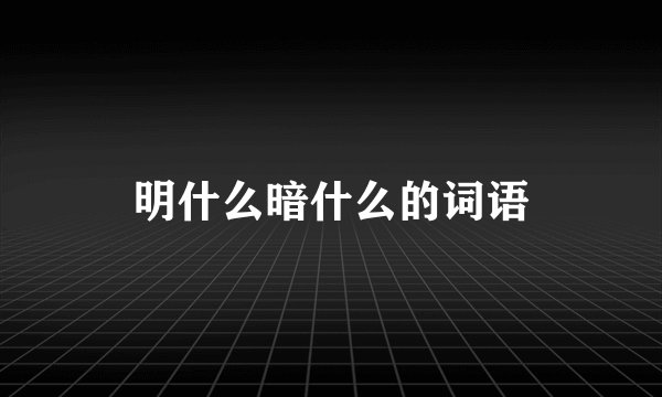 明什么暗什么的词语