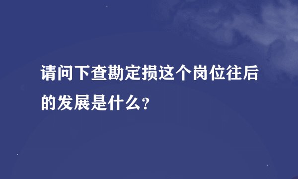 请问下查勘定损这个岗位往后的发展是什么?
