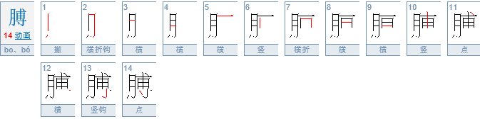 胳膊怎么用拼音拼写?