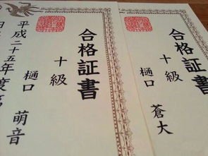 日语片假名有哪些像中文字样的?