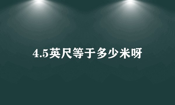 4.5英尺等于多少米呀