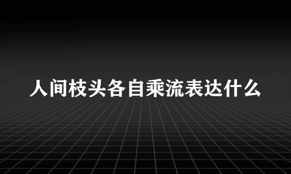 人间枝头各自乘流表达什么