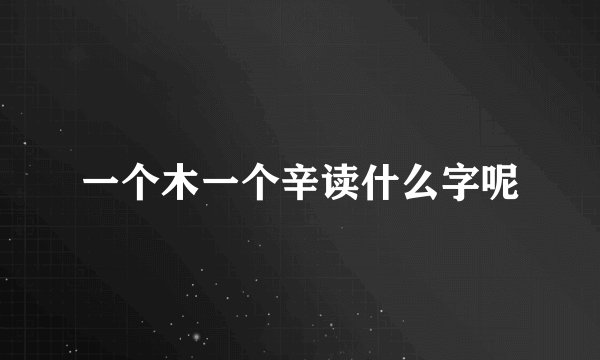 一个木一个辛读什么字呢