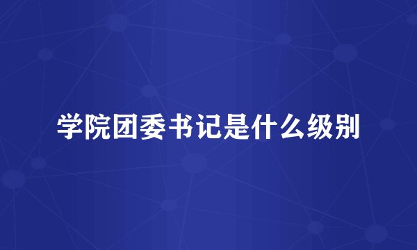 学院团委书记是什么级别