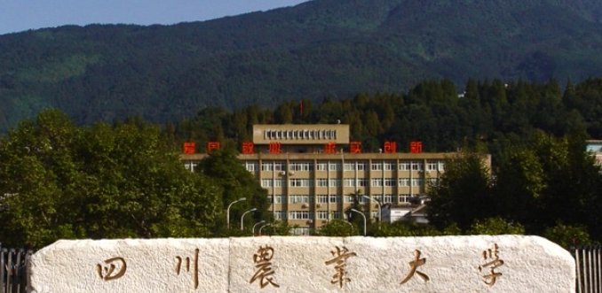 四川农业大学和成都理工大学哪个好