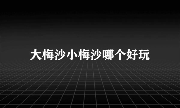 大梅沙小梅沙哪个好玩