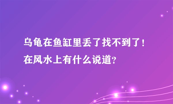 乌龟在鱼缸里丢了找不到了！在风水上有什么说道？