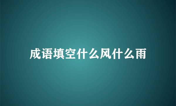 成语填空什么风什么雨