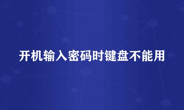 开机输入密码时键盘不能用
