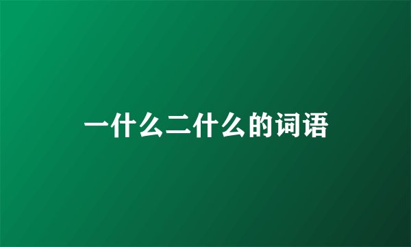 一什么二什么的词语