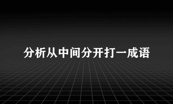 分析从中间分开打一成语
