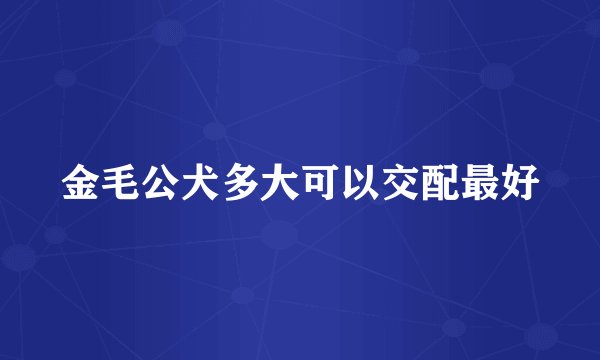 金毛公犬多大可以交配最好