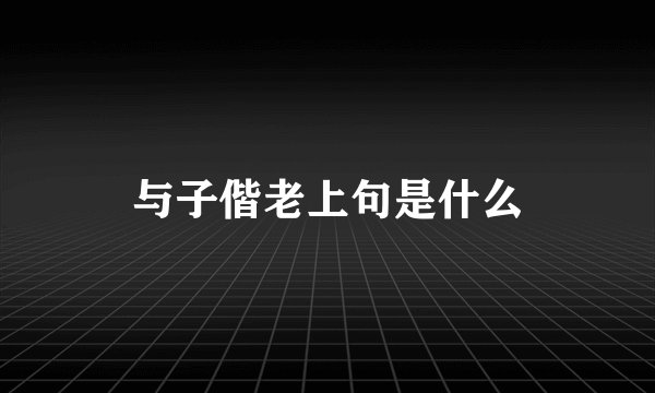 与子偕老上句是什么