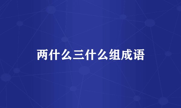 两什么三什么组成语