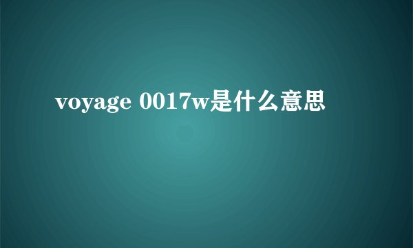 voyage 0017w是什么意思