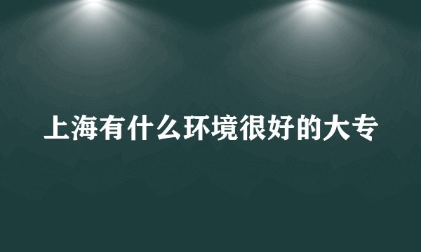 上海有什么环境很好的大专