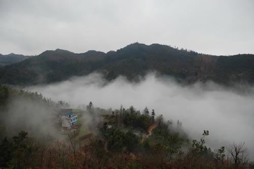 烟雾迷蒙的介绍