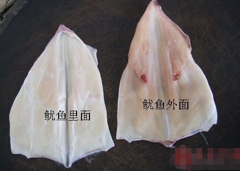 切鱿鱼时怎么切才会打卷卷啊