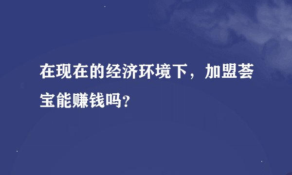 在现在的经济环境下，加盟荟宝能赚钱吗？