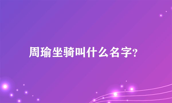 周瑜坐骑叫什么名字？