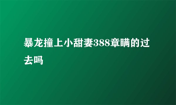 暴龙撞上小甜妻388章瞒的过去吗