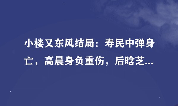 小楼又东风结局：寿民中弹身亡，高晨身负重伤，后晗芝终入共产党