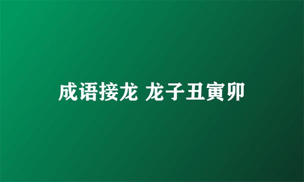 成语接龙 龙子丑寅卯