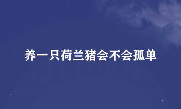 养一只荷兰猪会不会孤单