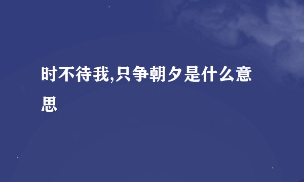 时不待我,只争朝夕是什么意思