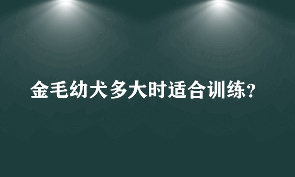 金毛幼犬多大时适合训练？