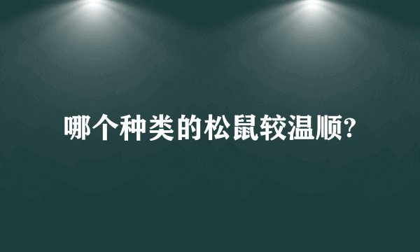 哪个种类的松鼠较温顺?