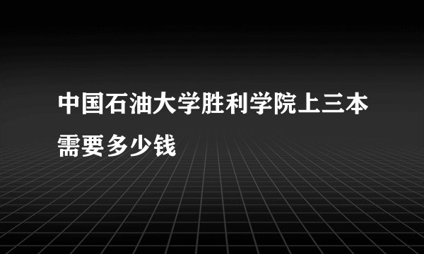中国石油大学胜利学院上三本需要多少钱