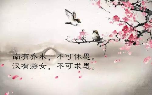 南有乔木不可休思出自哪里？