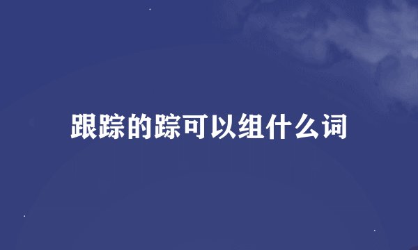 跟踪的踪可以组什么词