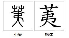 “荑”怎么读？“柔荑”是什么意思？