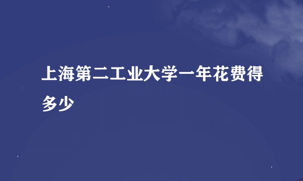 上海第二工业大学一年花费得多少