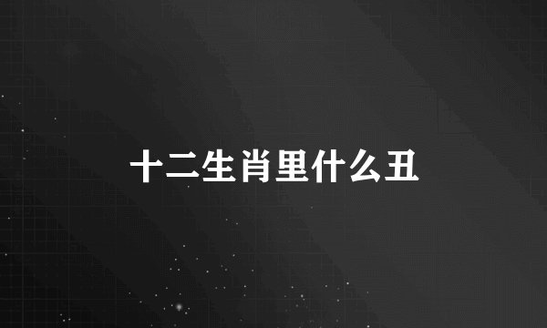 十二生肖里什么丑