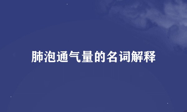 肺泡通气量的名词解释