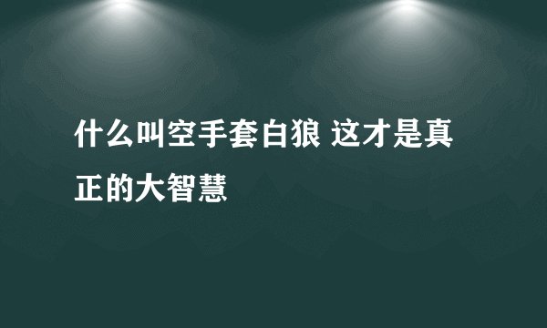 什么叫空手套白狼 这才是真正的大智慧