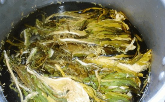 剑花煲汤配什么汤料