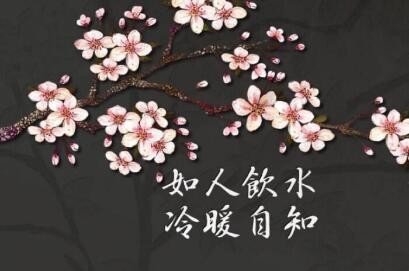 各自人生，冷暖自知是什么意思？