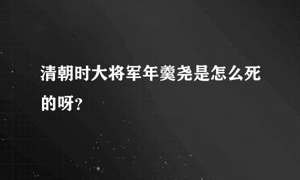 清朝时大将军年羹尧是怎么死的呀？