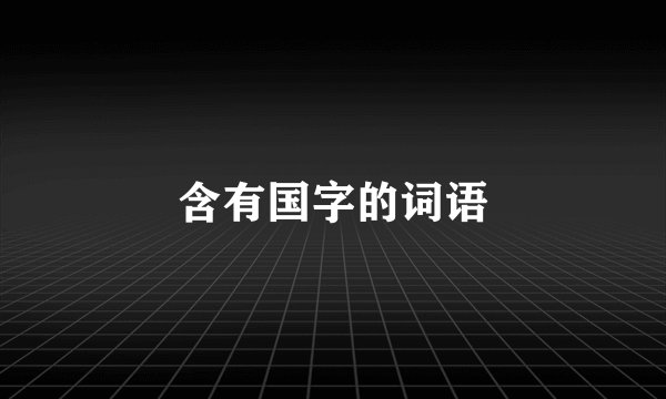 含有国字的词语