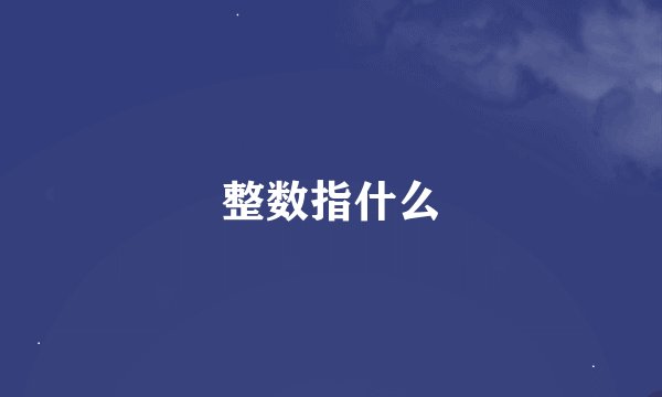 整数指什么