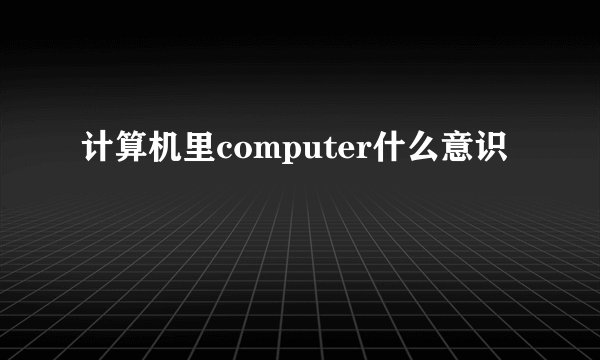 计算机里computer什么意识