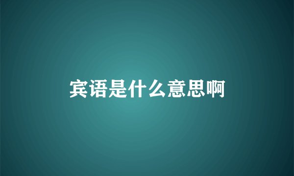 宾语是什么意思啊