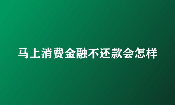 马上消费金融不还款会怎样